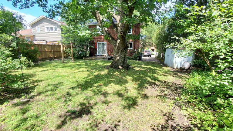 Back yard of 520 Braydon Ave.