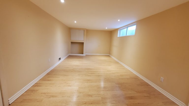 Finished basement (21'x11')