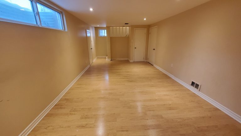 Finished basement (21'x11')